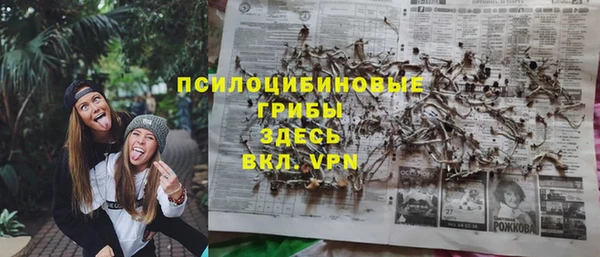 a pvp Абдулино
