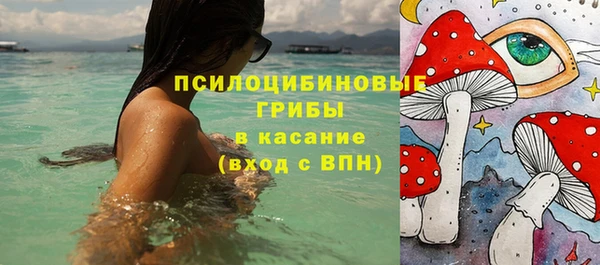 а пвп мука Абаза