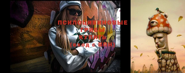 a pvp Абдулино